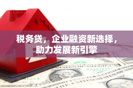 巩义税务贷，企业融资新选择，助力发展新引擎