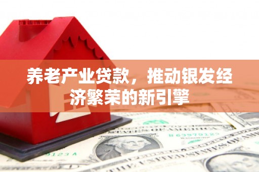 巩义养老产业贷款，推动银发经济繁荣的新引擎
