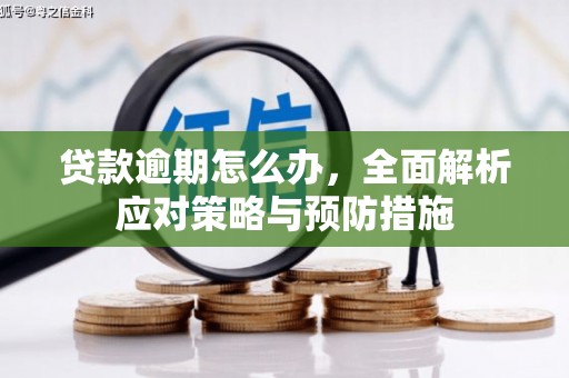 巩义贷款逾期怎么办，全面解析应对策略与预防措施