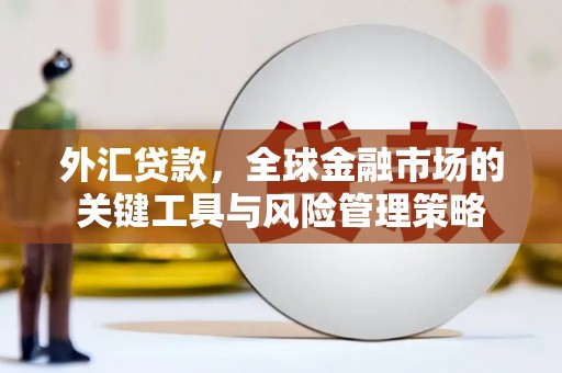 巩义外汇贷款，全球金融市场的关键工具与风险管理策略