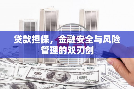巩义贷款担保，金融安全与风险管理的双刃剑
