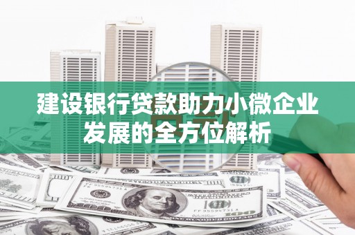 巩义建设银行贷款助力小微企业发展的全方位解析