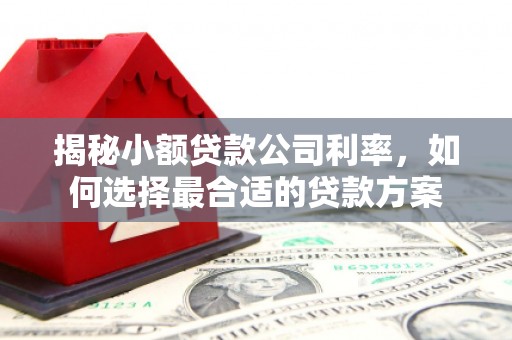 巩义揭秘小额贷款公司利率，如何选择最合适的贷款方案