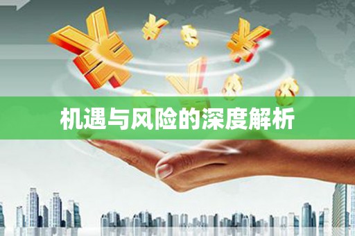 巩义机遇与风险的深度解析