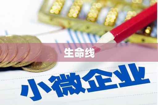 巩义生命线