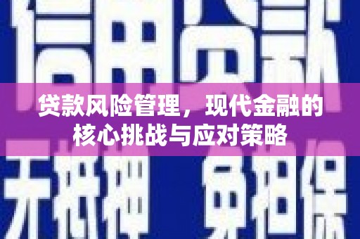 巩义贷款风险管理，现代金融的核心挑战与应对策略