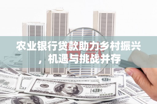 巩义农业银行贷款助力乡村振兴，机遇与挑战并存