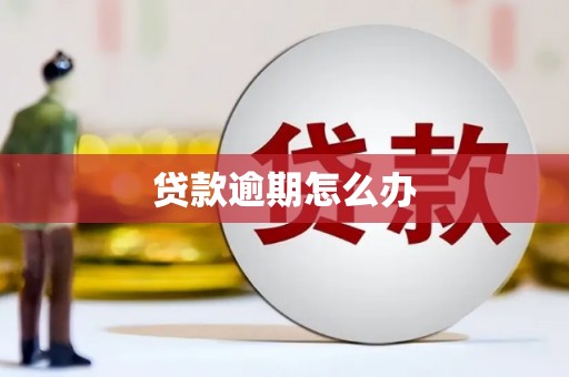 巩义贷款逾期怎么办