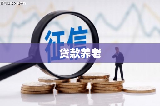 巩义贷款养老