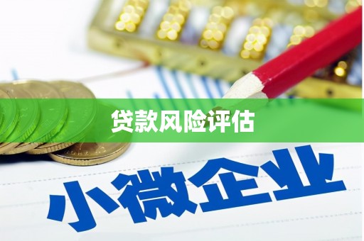 巩义贷款风险评估