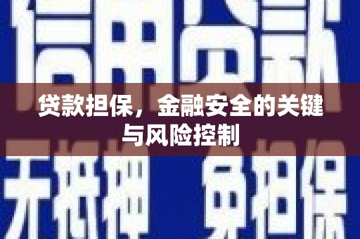 巩义贷款担保，金融安全的关键与风险控制