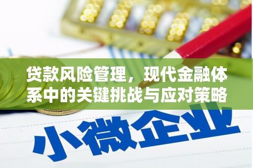 巩义贷款风险管理，现代金融体系中的关键挑战与应对策略