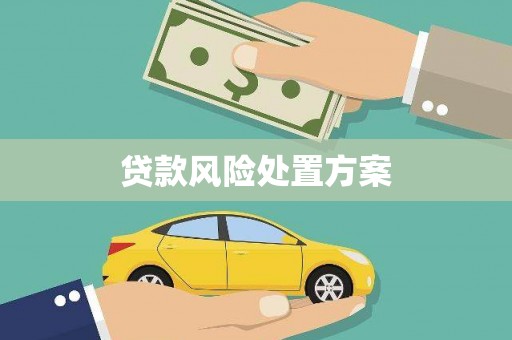 巩义贷款风险处置方案