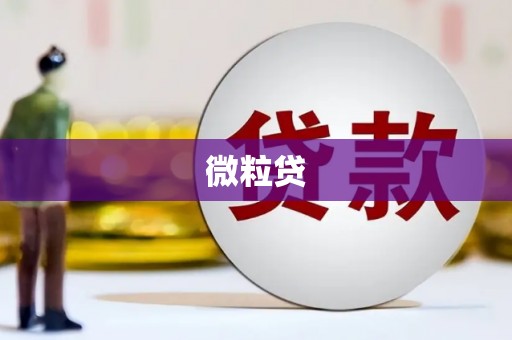 巩义微粒贷