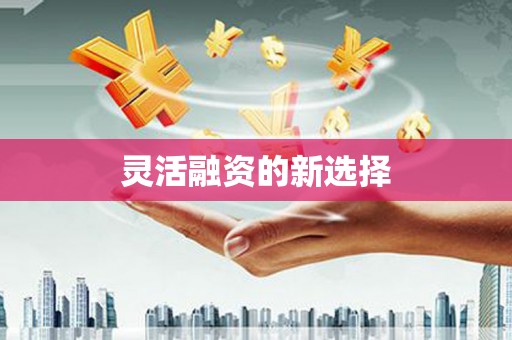 巩义灵活融资的新选择
