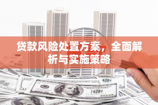 巩义贷款风险处置方案，全面解析与实施策略