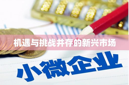 巩义机遇与挑战并存的新兴市场