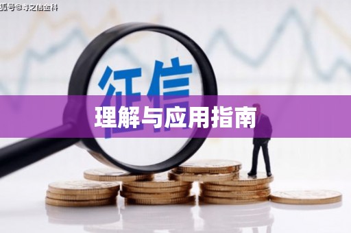 巩义理解与应用指南