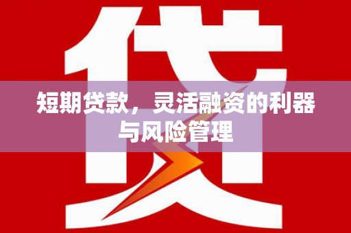巩义短期贷款，灵活融资的利器与风险管理