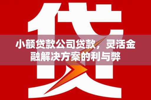 巩义小额贷款公司贷款，灵活金融解决方案的利与弊